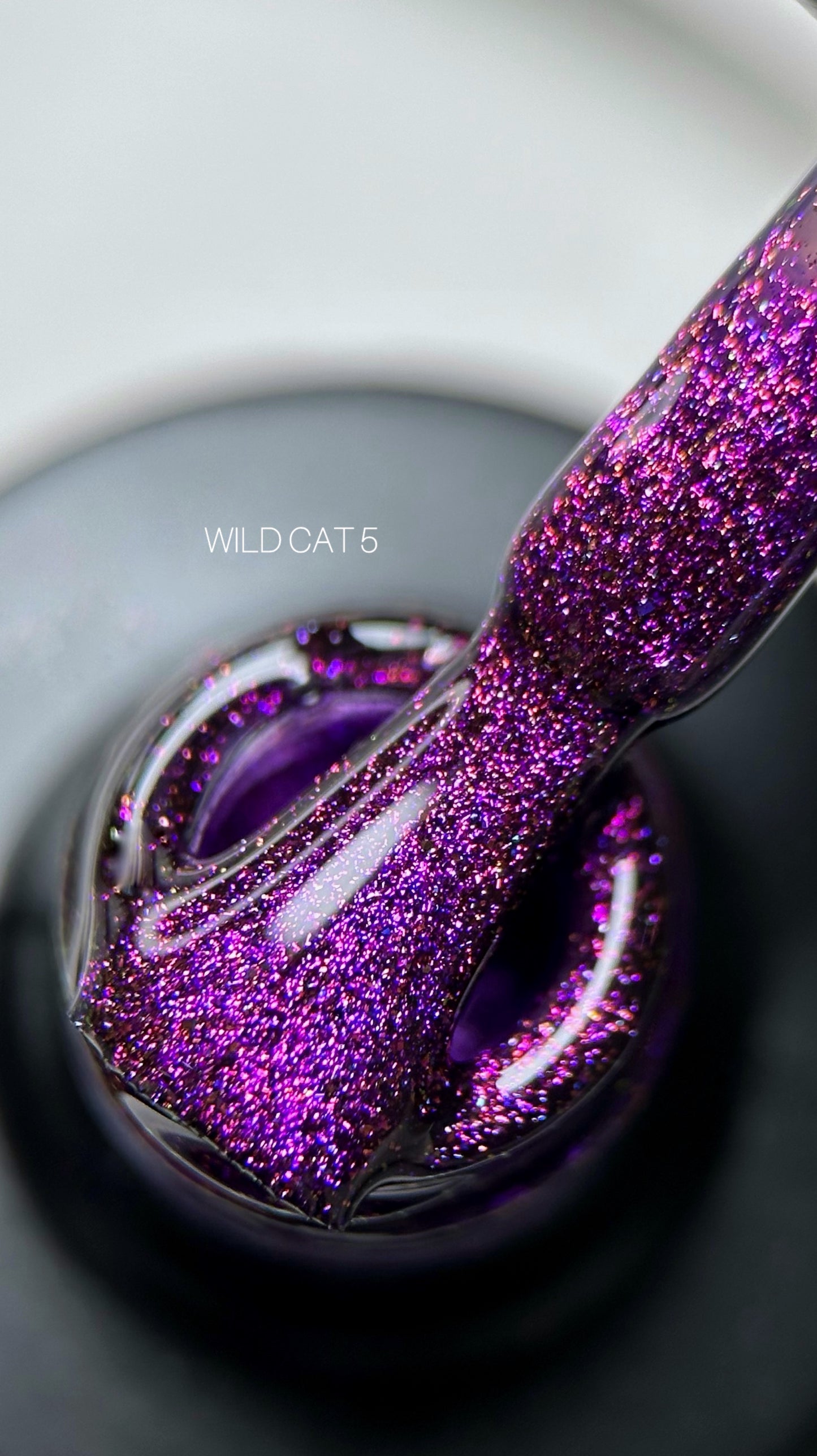 SAGA Professional Wild Cat 5