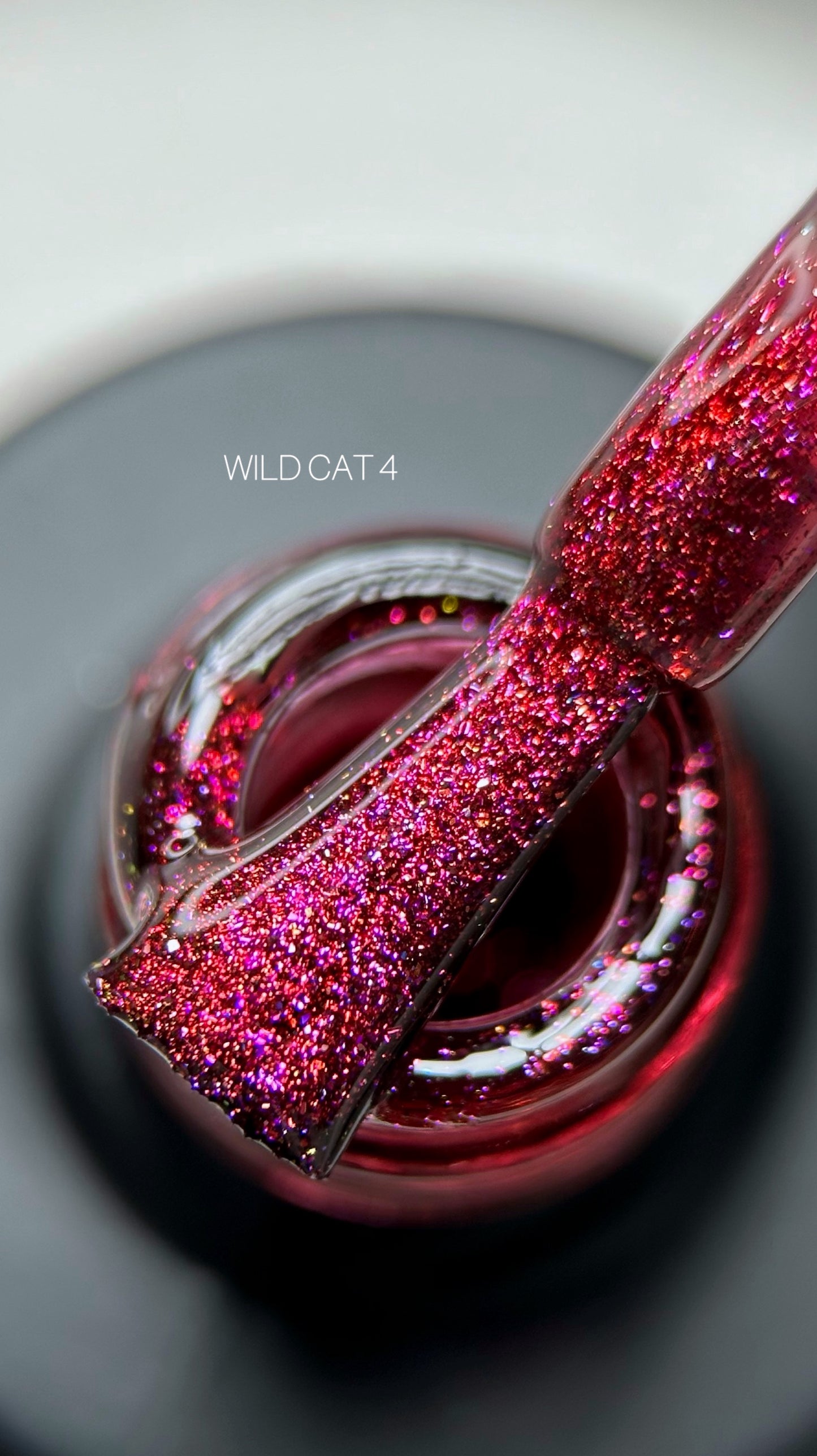 SAGA Professional Wild Cat 4