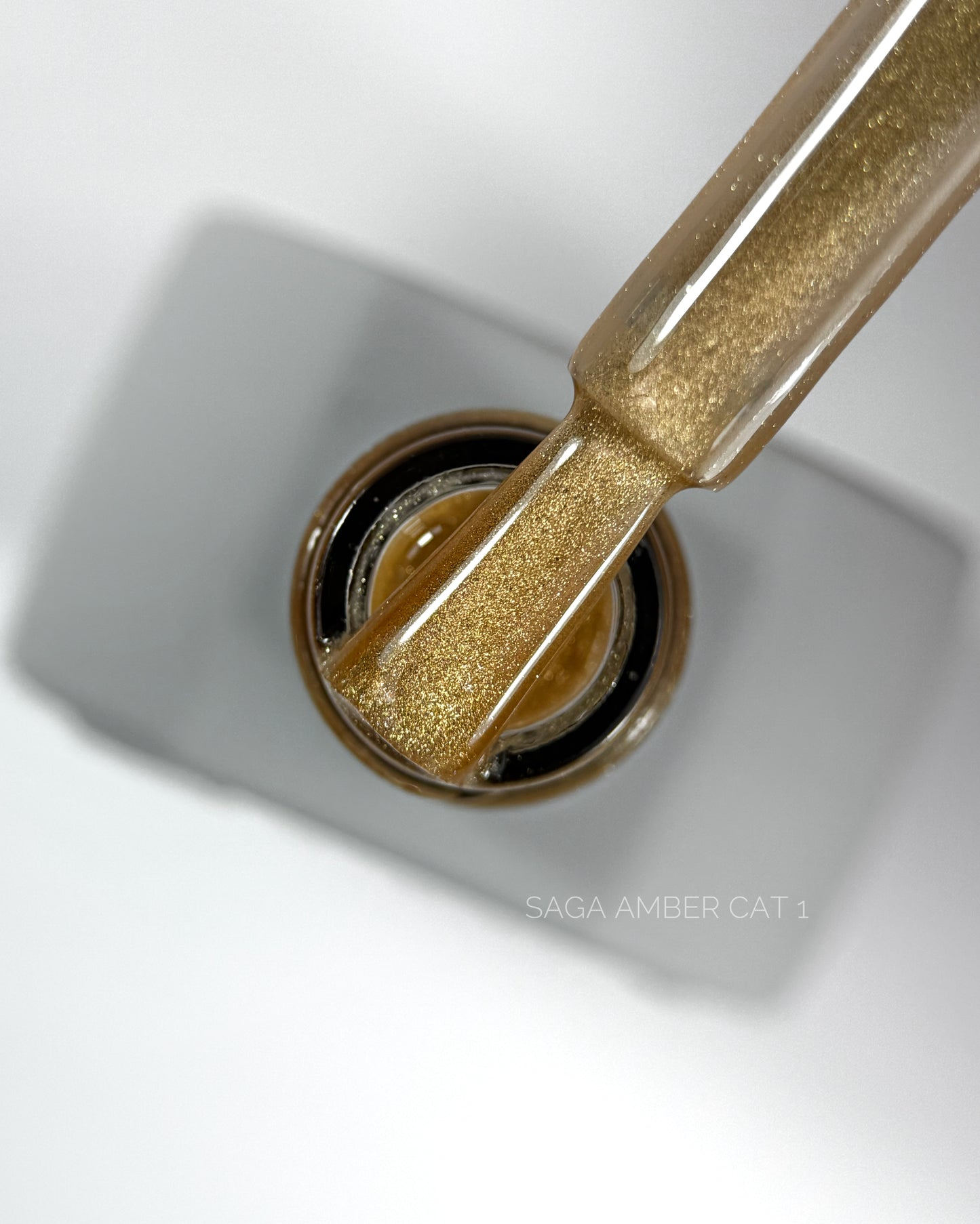 SAGA Professional Amber Cat 1