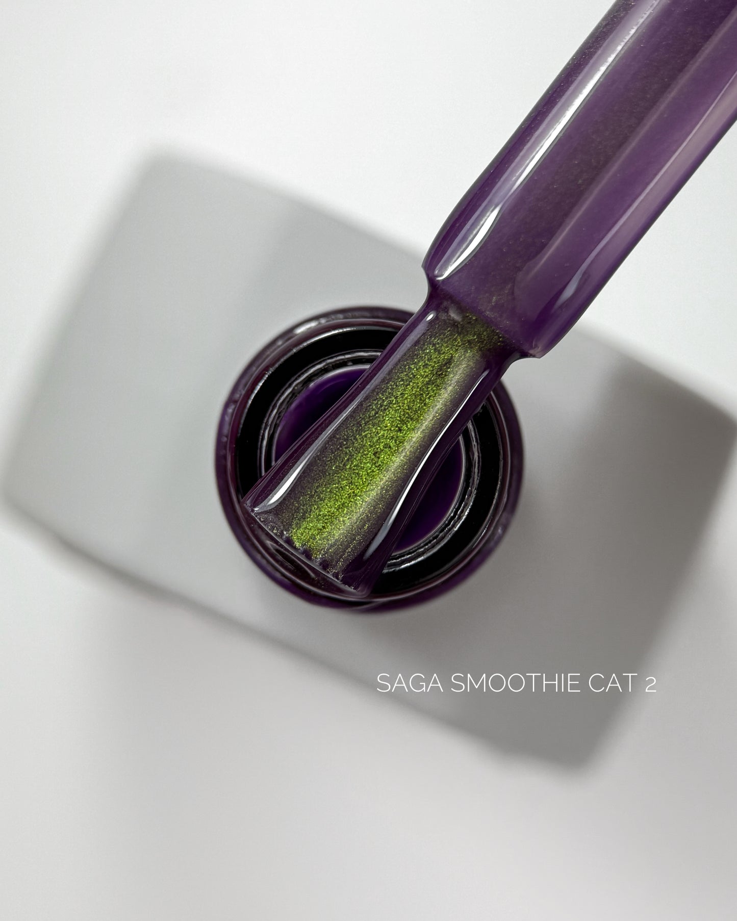 SAGA Professional Smoothie Cat 2