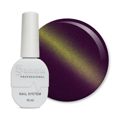 SAGA Professional Smoothie Cat 2