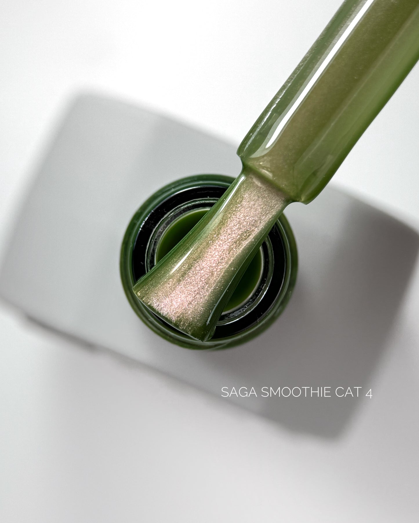 SAGA Professional Smoothie Cat 4